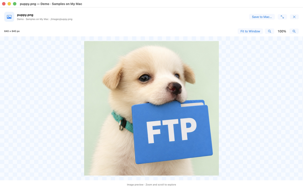 English interface — image preview and zoom