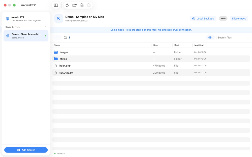 English interface — file browser and local backups