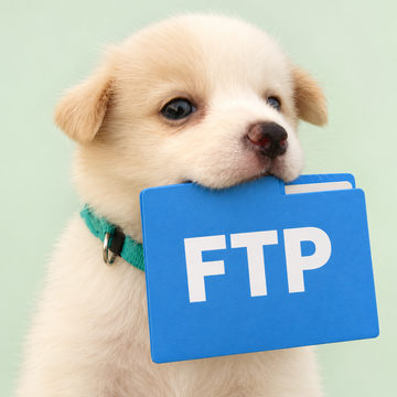 mvwizFTP 앱 아이콘